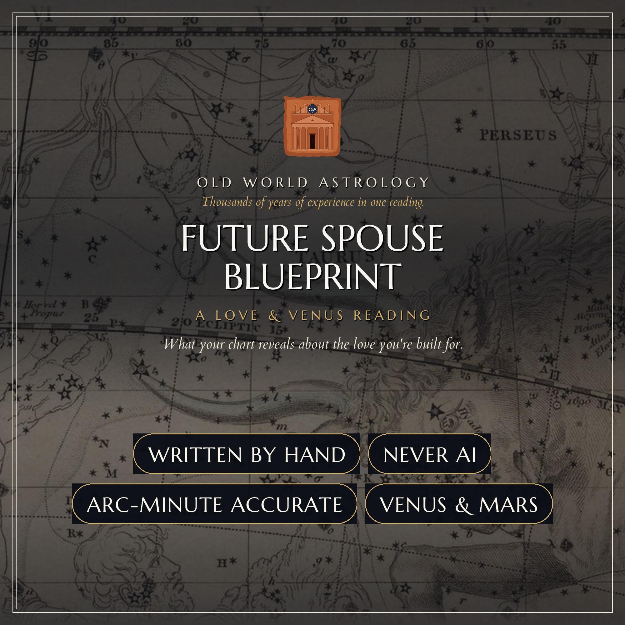 Future Spouse Blueprint — love astrology